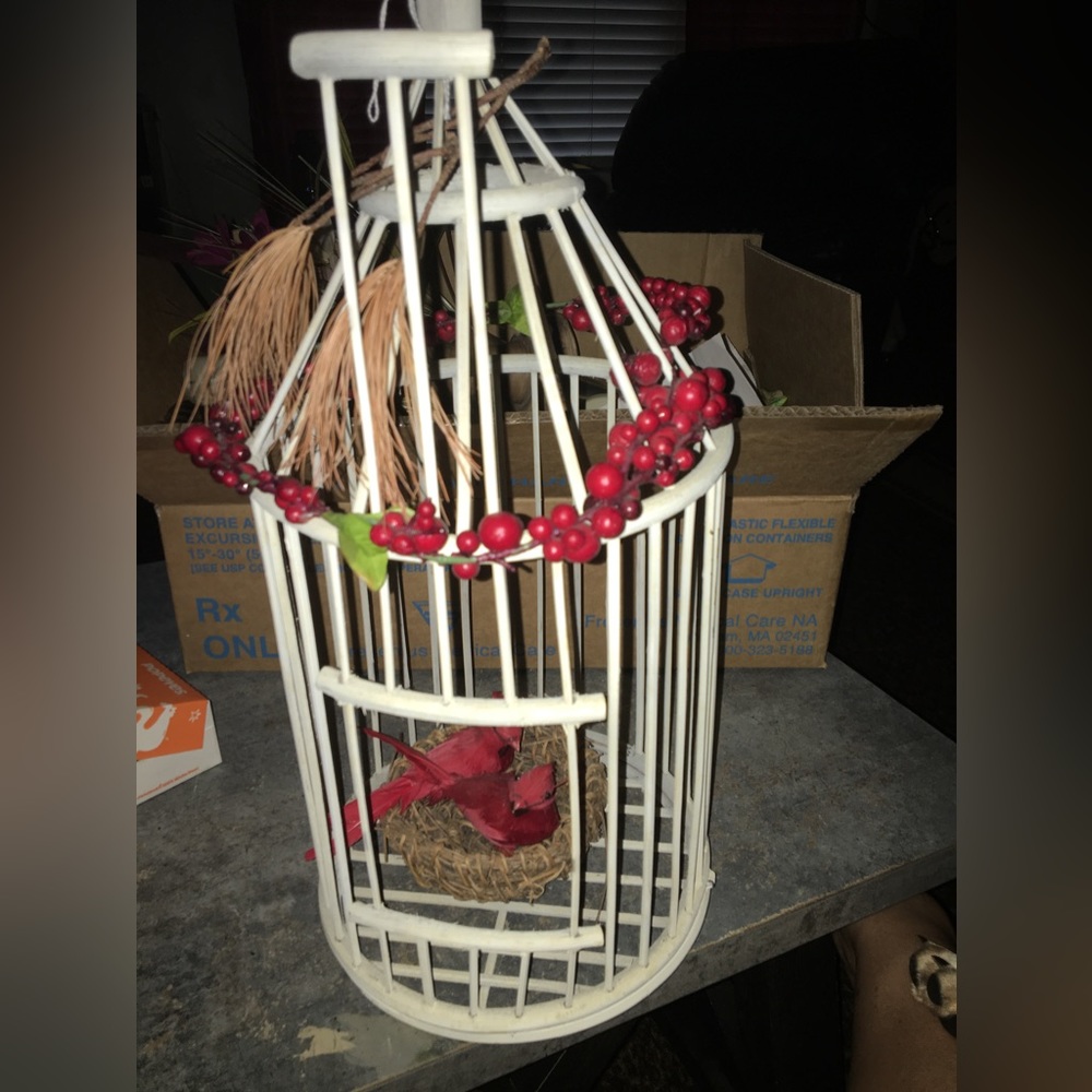 White bird cage cardinals this is tall and wide can be hung or set